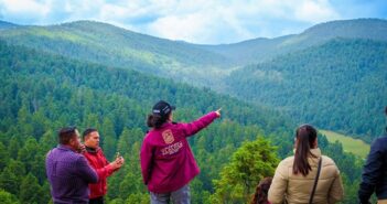 Tlalpan y Sedema inician la temporada de reforestación 2025 con el programa “Raíz a Raíz”*
