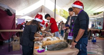 Alcaldía Tlalpan consolida su política de bienestar animal con más de 30 mil servicios veterinarios y mil esterilizaciones a animales comunitarios