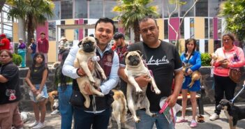 La 6a Feria de Bienestar Animal refuerza la atención veterinaria gratuita en Tlalpan; suman más de 39 mil servicios veterinarios gratuitos