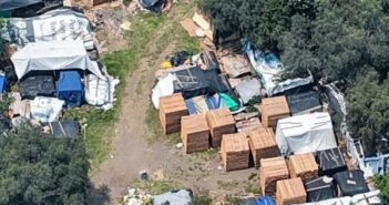 Realizan en Tlalpan el mayor decomiso de madera de prodedencia ilícita, en la historia de la CDMX