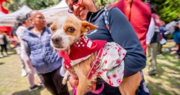 Tlalpan supera 78 mil atenciones de bienestar animal; Gaby Osorio anuncia segunda clínica veterinaria